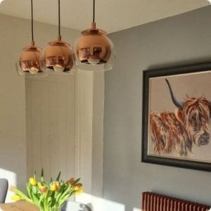 the_nelsons_at_number_10