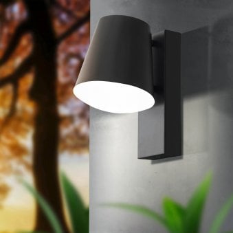 Caldiero IP44 Outdoor Wall Light in Anthracite