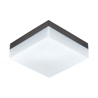 Sonella LED Outdoor Wall or Ceiling Light in Anthracite