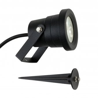 Hayes Exterior IP65 LED Wall or Spike Light in Black