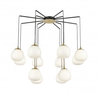 Verwood Twelve Lamp Spider Pendant in a Matt Black & Gold Finish