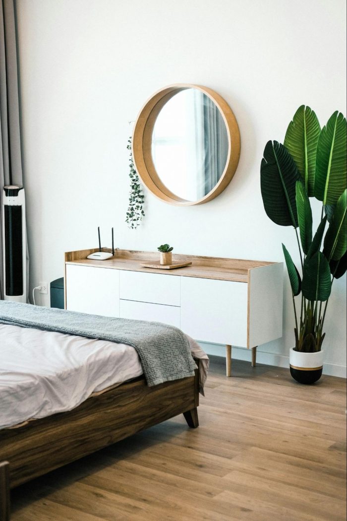 Bedroom mirror with cabinet and plant 