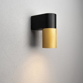 Temi IP54 Single Wall Light In Black & Gold