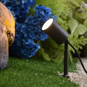 Rado Adjustable Outside Spike Light in Black Graphite 