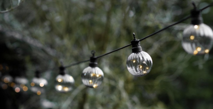 Festoon lighting with clear bulbs