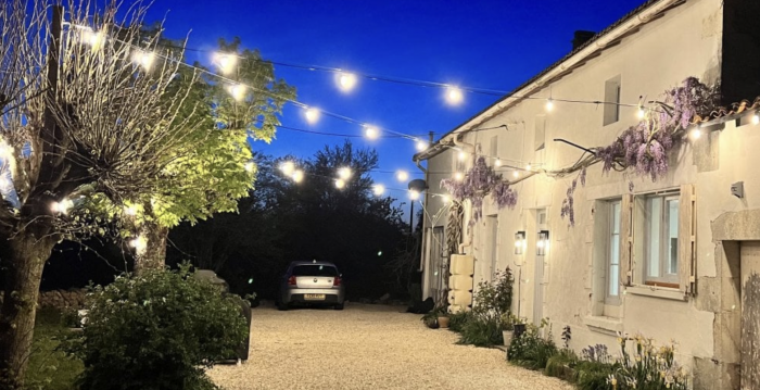 Festoon lighting illuminating a garden path