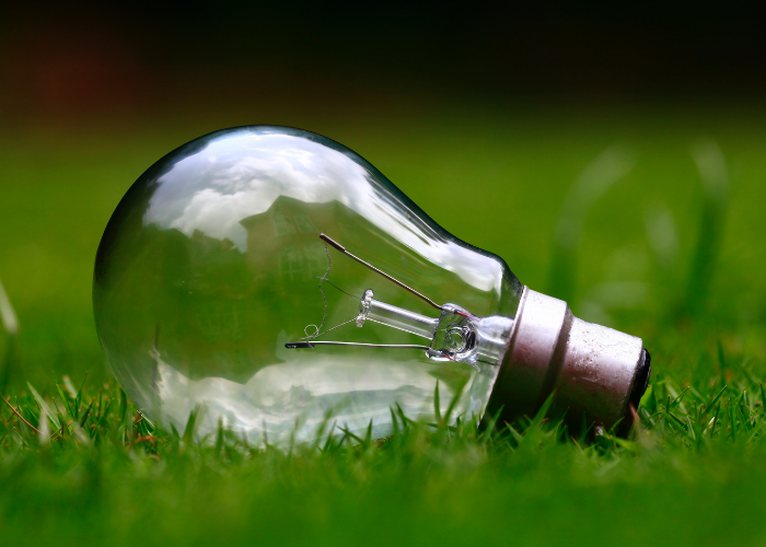 Light bulb, positioned side ways on grass