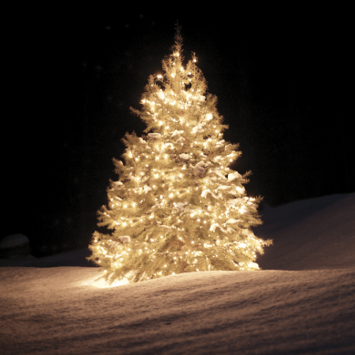 Christmas Tree Lights 